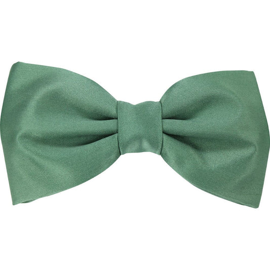 Clearance - Leaf Green Pre-Tied Bow Tie - Bow Ties - 
