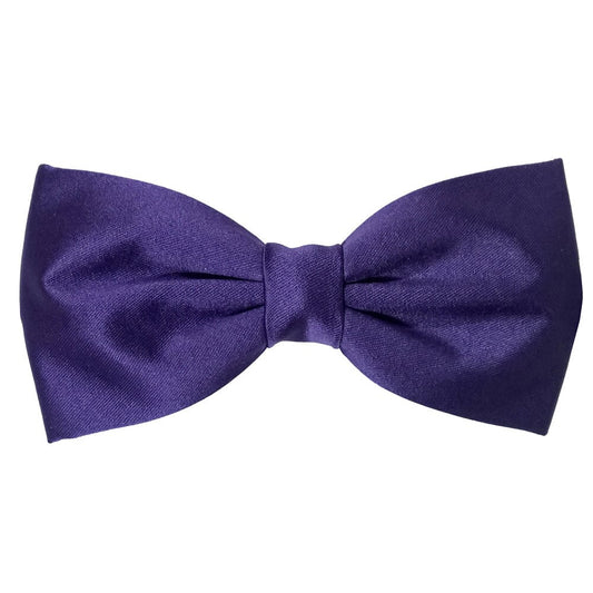 Clearance - Purple Pre-Tied Bow Tie - Bow Ties - 