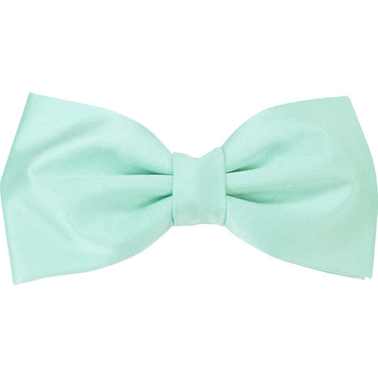 Clearance - Seafoam Aqua Pre-Tied Bow Tie - Bow Ties - 