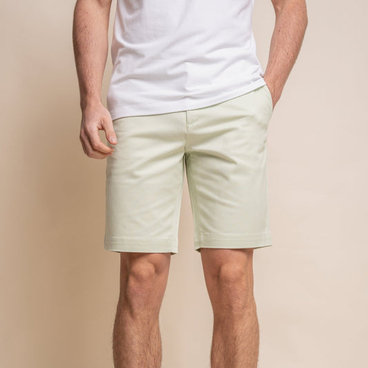 Dakota Sage Chino Shorts - Shorts - 28R - THREADPEPPER