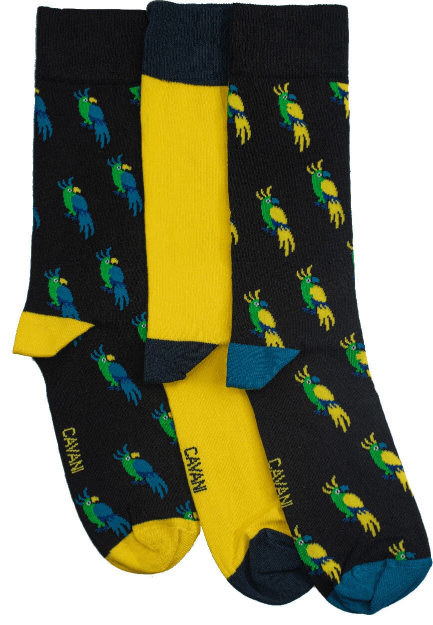 Ronan 3-Pack Parrot Socks - Socks - - THREADPEPPER